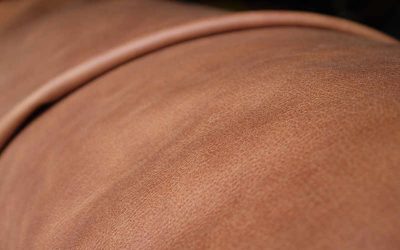 Buffelleer-sterk-en-robuust